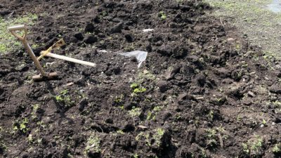 めちゃくちゃ固い土をふかふかに柔らかくする方法
